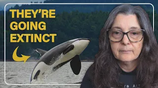 Send a Letter: Save the Whales