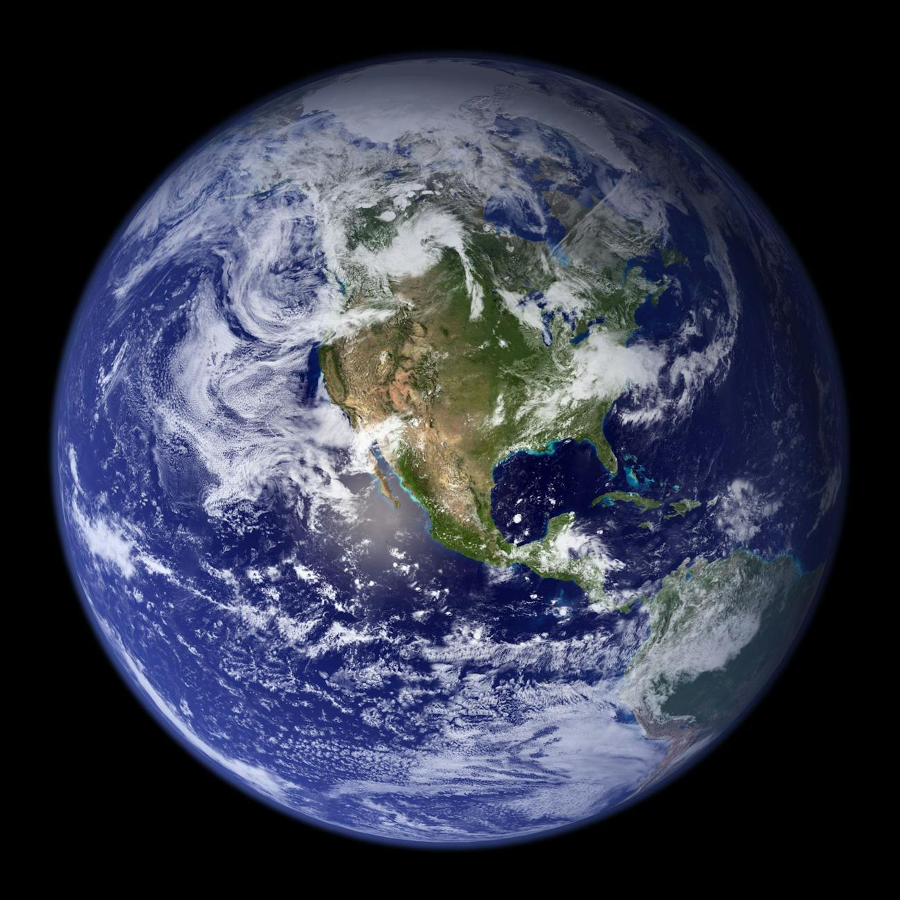 Quiz: Noise Pollution & Earth’s Species